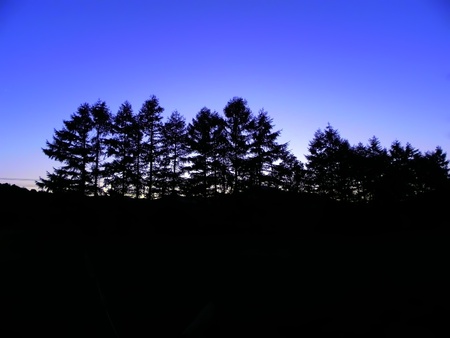 Twilightの写真素材