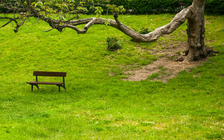 Lonely benchのeditorial素材