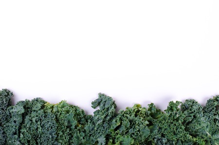 Frame of fresh green salad leaves on whiteの写真素材