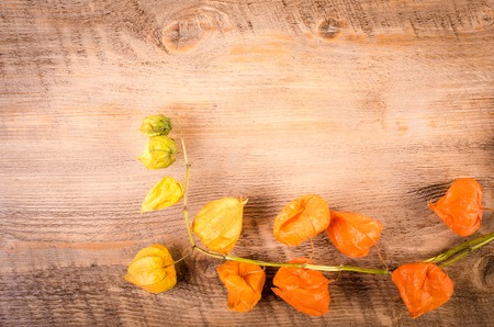 Autumn ackground. Cape gooseberry on wooden table. Free Free space for textの写真素材