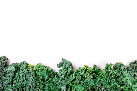 Frame of fresh green salad leaves on whiteの写真素材