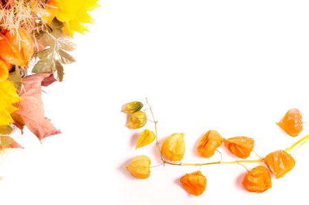Autumn bouquet. Dried flowers and cape gooseberryの写真素材