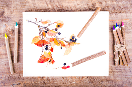 Colorful autumn leaves and pensils lying on diary, notebook, paper, wooden background. Fall and thanksgiving. Autumn composition. Free space for text.の写真素材
