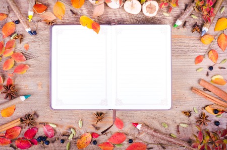 Colorful autumn leaves, spices, cinnamon, cloves, cardamom, anise and pensils lying near diary,...