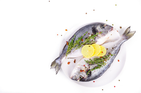 Fresh raw gilthead fishes with lemon, herbs, salt on plate, white background. Healthy food concept. Food frameの写真素材
