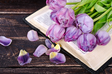 Violet tulips, petals, book on wooden background. Vintage and retro style.の写真素材