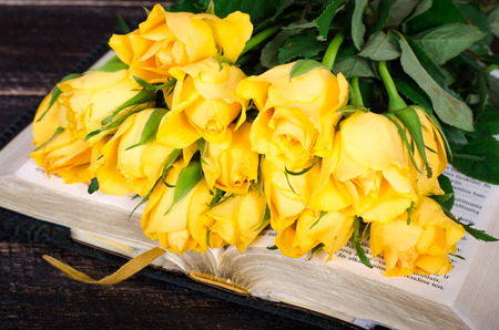 Yellow roses and old book.の写真素材