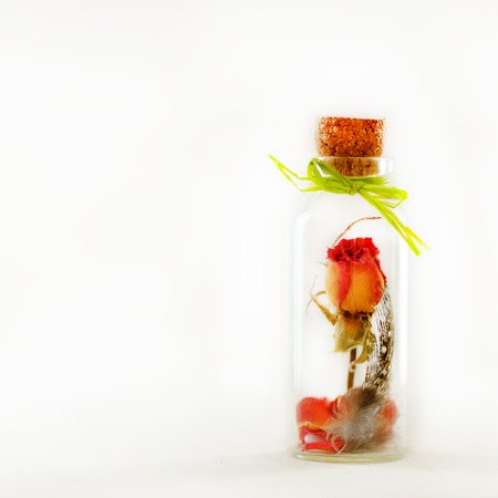 Dried flowers, plumelet, rose in aroma dropper bottle on white background, Herb-infused oil. Copyspace.の写真素材