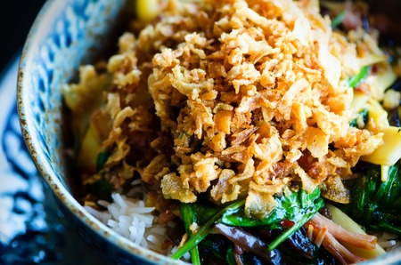 Asian rice with pork, Mu-err mushrooms, napa cabbage, pickled bamboo shoots, spinach, Teriyaki, sweet chili sauce, onion chips in ceramic bowl. Thai, chinese, japanese traditional national cuisine.の写真素材