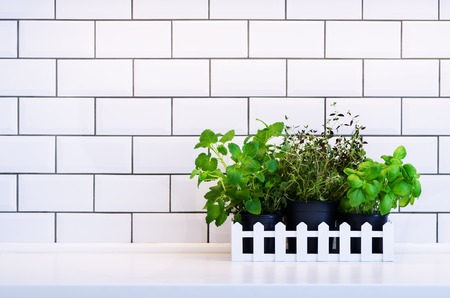 Mint, thyme, basil, parsley - aromatic kitchen herbs in white wooden crate on kitchen table, brick tile background. Potted culinary spice plants. Minimalistic lifestyle concept. Copyspace.の写真素材
