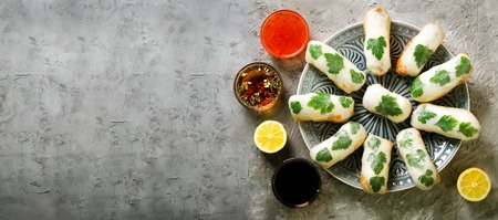 Fresh Vietnamese, Asian, Chinese food frame on grey concrete background. Spring rolls rice paper,...
