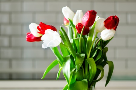 Fresh white and red tulips on kitchen background. Present from husband, man. Copyspaceの写真素材