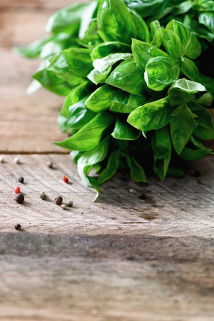 Green fresh organic basil on wooden background with copyspace. Herbs and spices for cookingの写真素材
