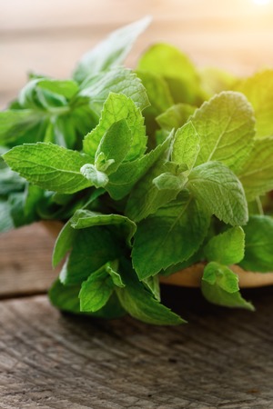 Fresh mint leaves on wooden background with copyspace and sunlights