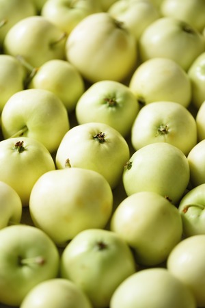 Top view of green apple. Background, concept, copy space, macroの写真素材