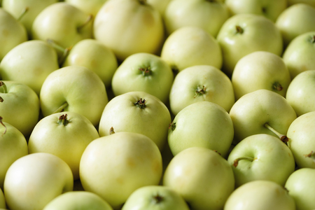 Top view of green apple. Background, concept, copy space, macroの写真素材