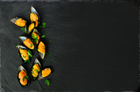 Mussels, molluscs, seaweed, sea plants, ice on old vintage rustic metal background. Top view, copy spaceの写真素材