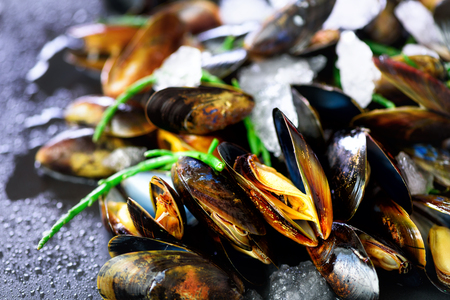 Mussels, molluscs, seaweed, sea plants, ice on old vintage rustic metal background. Top view, copy spaceの写真素材