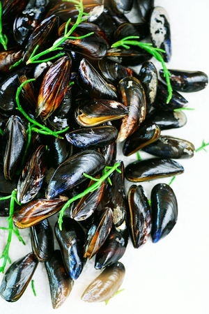 Boiled mussels with seaweed, sea plants on white stone concrete background. Top view, copy space.の写真素材