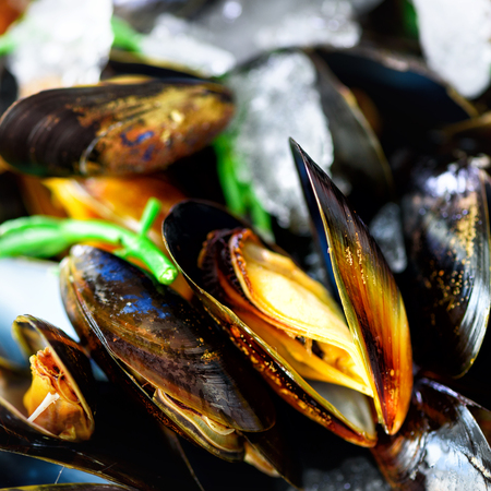 Mussels on stone concrete background. Top view, copy space. Toned sunny effectの写真素材