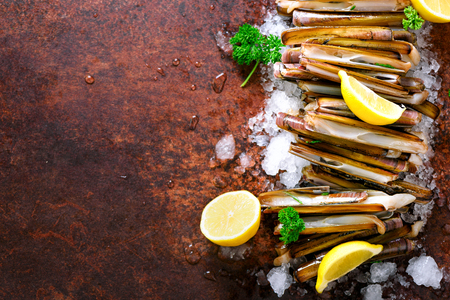 Bundle, bunch of fresh razor clams on ice, dark concrete background, lemon, herbs. Copy space, top viewの写真素材