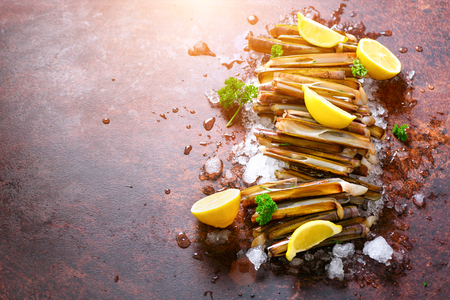 Bundle, bunch of fresh razor clams on ice, dark concrete background, lemon, herbs. Copy space, top viewの写真素材