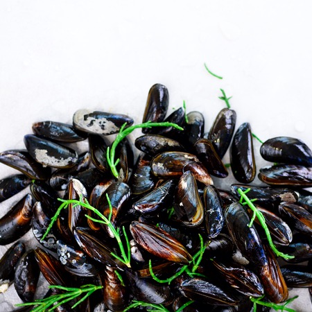 Boiled mussels with seaweed, sea plants on white stone concrete background. Top view, copy space.の写真素材