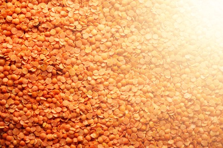 Red raw organic lentils texture.の写真素材
