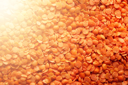 Red raw organic lentils texture.の写真素材