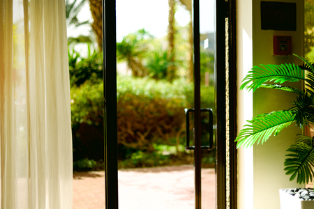 Tropical view background. Summer, travel, vacation and holiday concept. Open window, door and white curtain with blurred palm garden view from hotel. Exotic plants in sunny day, copy space.の写真素材