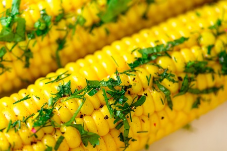 Boiled corn with spices on grey light concrete background. Copy space, macro.の写真素材