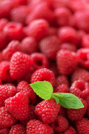 Fresh organic raspberries with mint leaves. Fruit background with copy space. Summer and berries harvest concept. Vegan, vegetarian, raw food.の写真素材