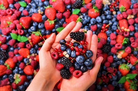 Woman hands holding organic fresh berries against the background of strawberry, blueberry, blackberries, currant, mint leaves. Top view. Summer food. Vegan, vegetarian and clean eating concept.の写真素材