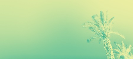 Palms with turquoise gradient. Pop art effect. Vintage stylized photo with light leaks. Banner. Summer palm trees over sky on beach. Holiday and travel concept. Copy space.の写真素材