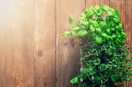 Abstract spring or summer concept. Organic herbs (melissa, mint, thyme, basil, parsley) on wooden background with sunlight and sunny leaks. Banner. Copyspaceの写真素材