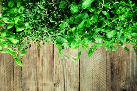 Collection of fresh organic herbs (melissa, mint, thyme, basil, parsley) on wooden background. Banner. Copy space. Abstract spring or summer concept.の写真素材