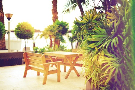 Empty bench on beach walkway. Sunny rest area. Tropical green palm trees background. Sun light effect and sunny bokeh. Summer, holiday and travel concept with copy space.の写真素材