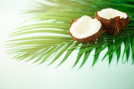 Coconut over tropical green palm leaves on turquoise background. Copy space. Pop art design, creative summer concept. Raw vegan food.の写真素材