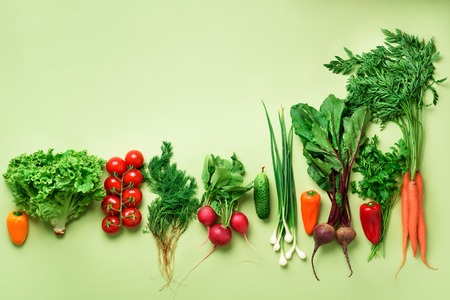 Organic vegetables and garden tools on green background with copy space. Top view of carrot, beet, pepper, radish, dill, parsley, tomato, lettuce. Veggies growing in soil. Vegan, eco conceptの写真素材
