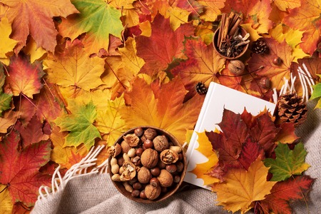 Autumn flat lay. White book, wooden bowl of nuts, coffee cup, cone, cinnamon over beige plaid and...