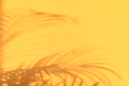 Summer travel concept. Shadow of exotic palm leaves is laying on pastel yellow wall