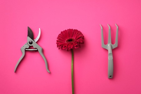 Gardening tools, flower on pink punchy pastel