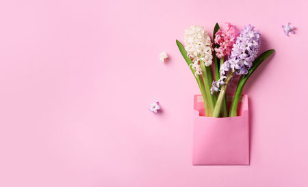 Spring hyacinth flowers in pink postal envelope over punchy pastelの写真素材