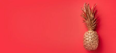 Creative layout. Gold pineapple on red background with copy space. Top view. Tropical flat lay. Exotic food concept, crazy trend. Banner.の写真素材