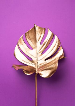Floral minimal style concept. Exotic summer trend. Golden tropical palm monstera leaf on violet color background. Shiny and sparkle design, fashion conceptの写真素材