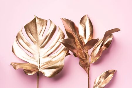 Golden tropical monstera leaf on pink background with copy space. Top view. Flat lay. Creative layout. Exotic summer concept in minimal style.の写真素材