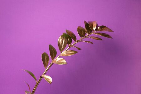 Floral minimal style concept. Exotic summer trend. Golden tropical leaves and branch on violet color background. Shiny and sparkle design, fashion conceptの写真素材