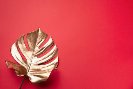 Floral minimal style concept. Exotic summer trend. Golden tropical palm monstera leaf on red color background. Shiny and sparkle design, fashion conceptの写真素材