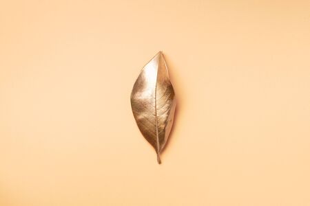 Golden leaf on nude background. Top view. Copy space. Summer and autumn concept. Creative design elements for invitation, wedding cards, valentines day, greeting cardsの写真素材
