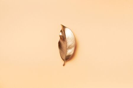 Golden leaf on nude background. Top view. Copy space. Summer and autumn concept. Creative design elements for invitation, wedding cards, valentines day, greeting cardsの写真素材